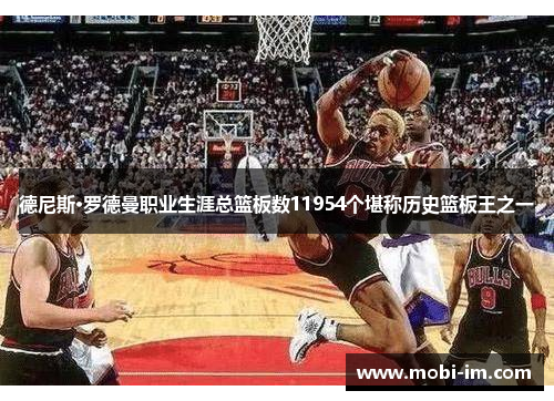 德尼斯·罗德曼职业生涯总篮板数11954个堪称历史篮板王之一
