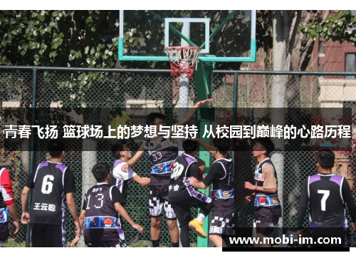 青春飞扬 篮球场上的梦想与坚持 从校园到巅峰的心路历程