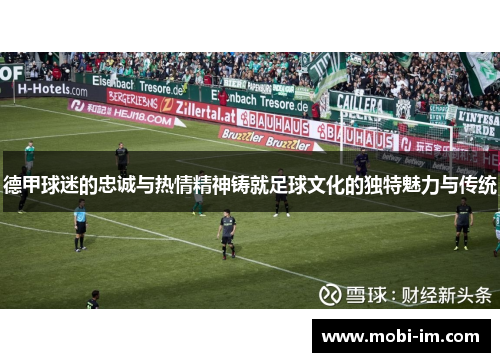 德甲球迷的忠诚与热情精神铸就足球文化的独特魅力与传统