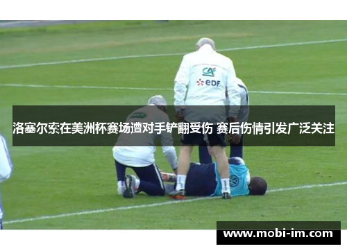 洛塞尔索在美洲杯赛场遭对手铲翻受伤 赛后伤情引发广泛关注