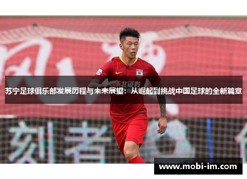 苏宁足球俱乐部发展历程与未来展望：从崛起到挑战中国足球的全新篇章