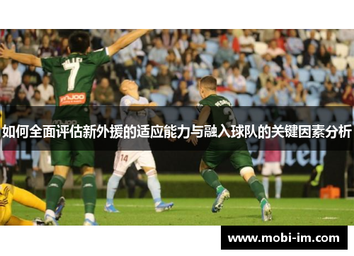 如何全面评估新外援的适应能力与融入球队的关键因素分析