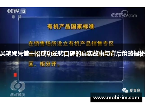 吴艳妮凭借一招成功逆转口碑的真实故事与背后策略揭秘