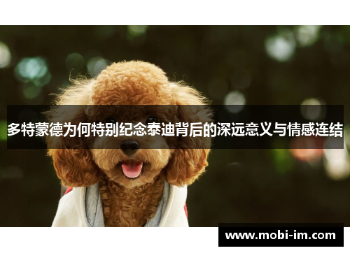 多特蒙德为何特别纪念泰迪背后的深远意义与情感连结