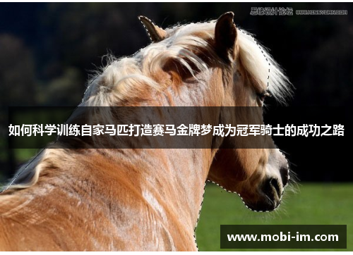 如何科学训练自家马匹打造赛马金牌梦成为冠军骑士的成功之路
