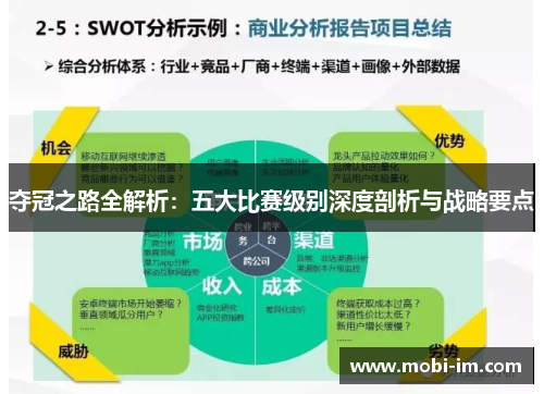 夺冠之路全解析：五大比赛级别深度剖析与战略要点