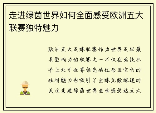 走进绿茵世界如何全面感受欧洲五大联赛独特魅力