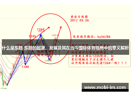 什么是东超 东超的起源、发展及其在当今国际体育格局中的意义解析
