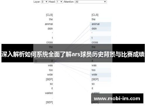 深入解析如何系统全面了解ars球员历史背景与比赛成绩