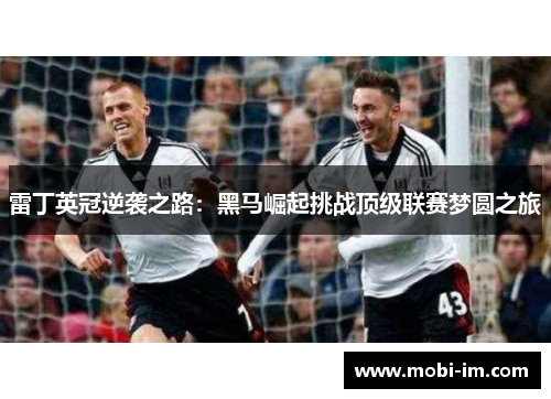 雷丁英冠逆袭之路：黑马崛起挑战顶级联赛梦圆之旅
