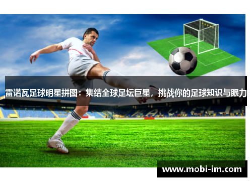 雷诺瓦足球明星拼图：集结全球足坛巨星，挑战你的足球知识与眼力