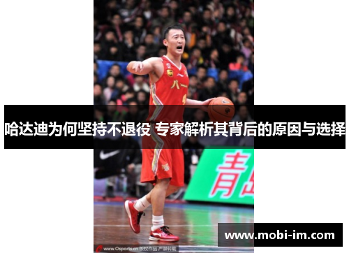 哈达迪为何坚持不退役 专家解析其背后的原因与选择
