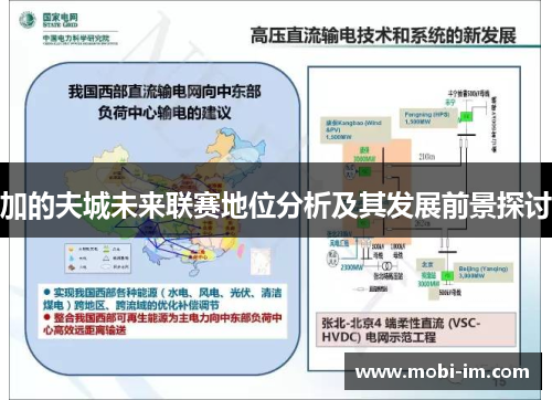 加的夫城未来联赛地位分析及其发展前景探讨