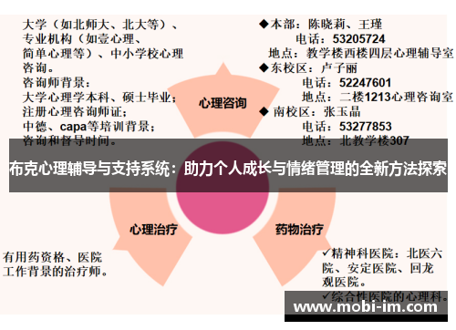 布克心理辅导与支持系统：助力个人成长与情绪管理的全新方法探索