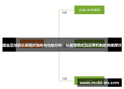 建业足球俱乐部组织结构与功能分析：从管理模式到运营机制的深度探讨